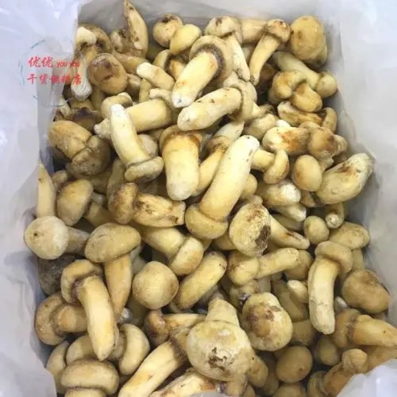 云南冰冻松茸野生菌冻品产地货源大量批发