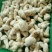 云南冰冻松茸野生菌冻品产地货源大量批发