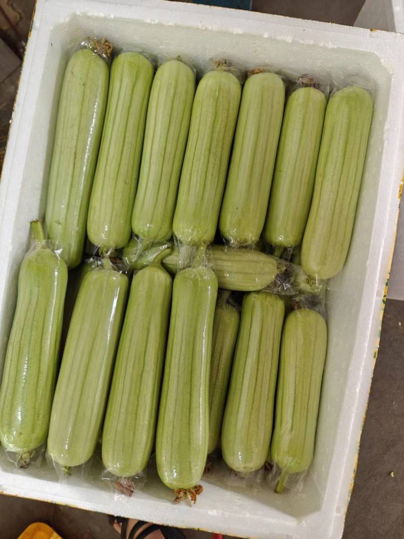 合浦县农盛果蔬经营部