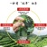 （包邮）2024年碧螺春绿茶新茶叶浓香型茶叶散装绿茶批发