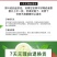 （包邮）2024年碧螺春绿茶新茶叶浓香型茶叶散装绿茶批发