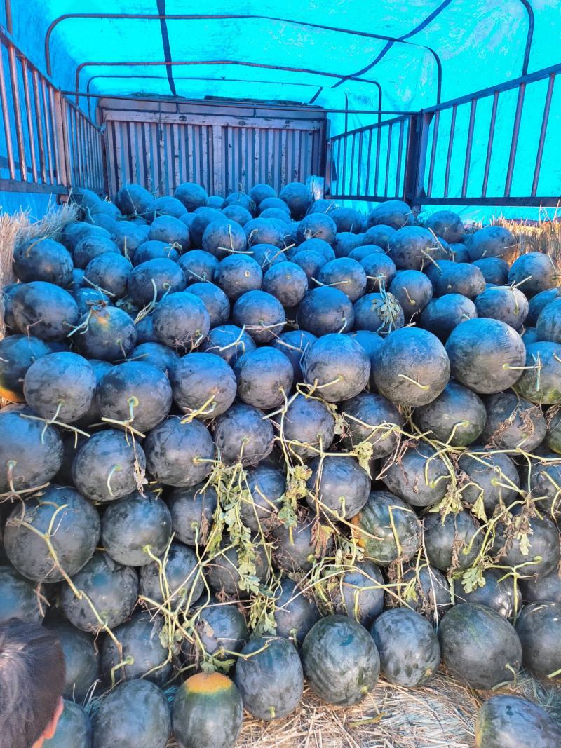 精品黑无籽，产地直发，大量供货价格便宜，质量保证