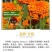 万寿菊种子四季开花易活臭芙蓉花种籽子孔雀草花种子重瓣万寿