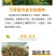 万寿菊种子四季开花易活臭芙蓉花种籽子孔雀草花种子重瓣万寿