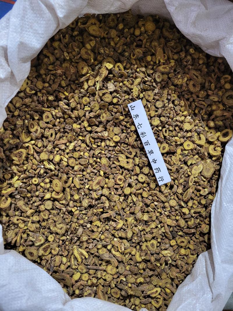 黄芩枯芩产地货源多种规格大货供应七彩百草中药材