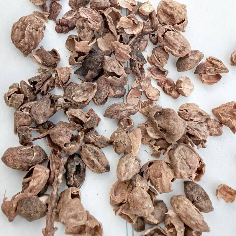 益智皮仁批发零售诚信经营支持混批一件代发1000克起