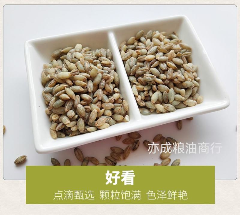 青稞米批发白青稞米蓝青稞米黑青稞米五谷杂粮粗粮