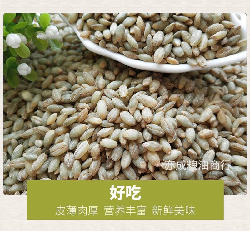 青稞米批发白青稞米蓝青稞米黑青稞米五谷杂粮粗粮