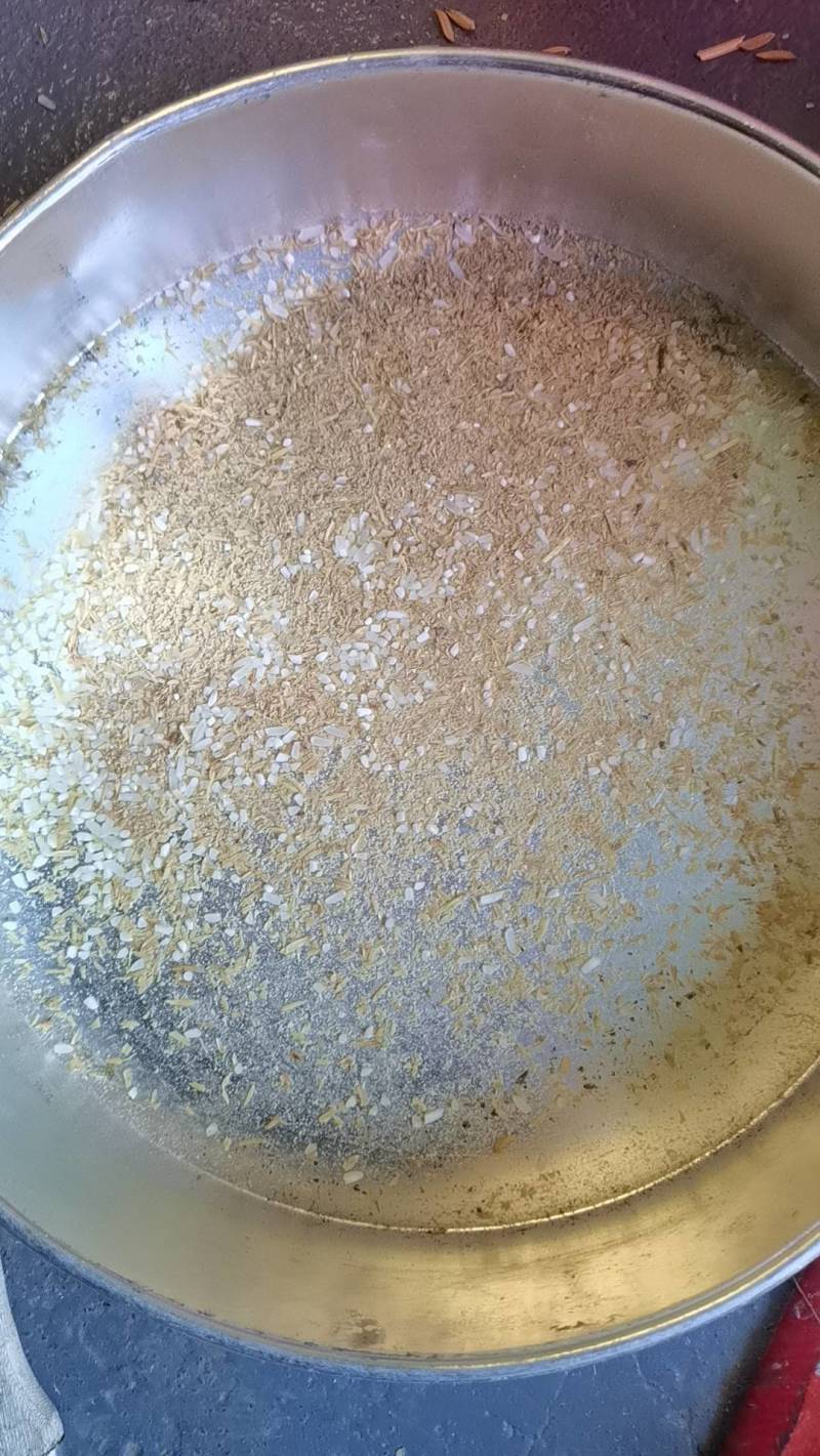 优质稻天龙一号新谷