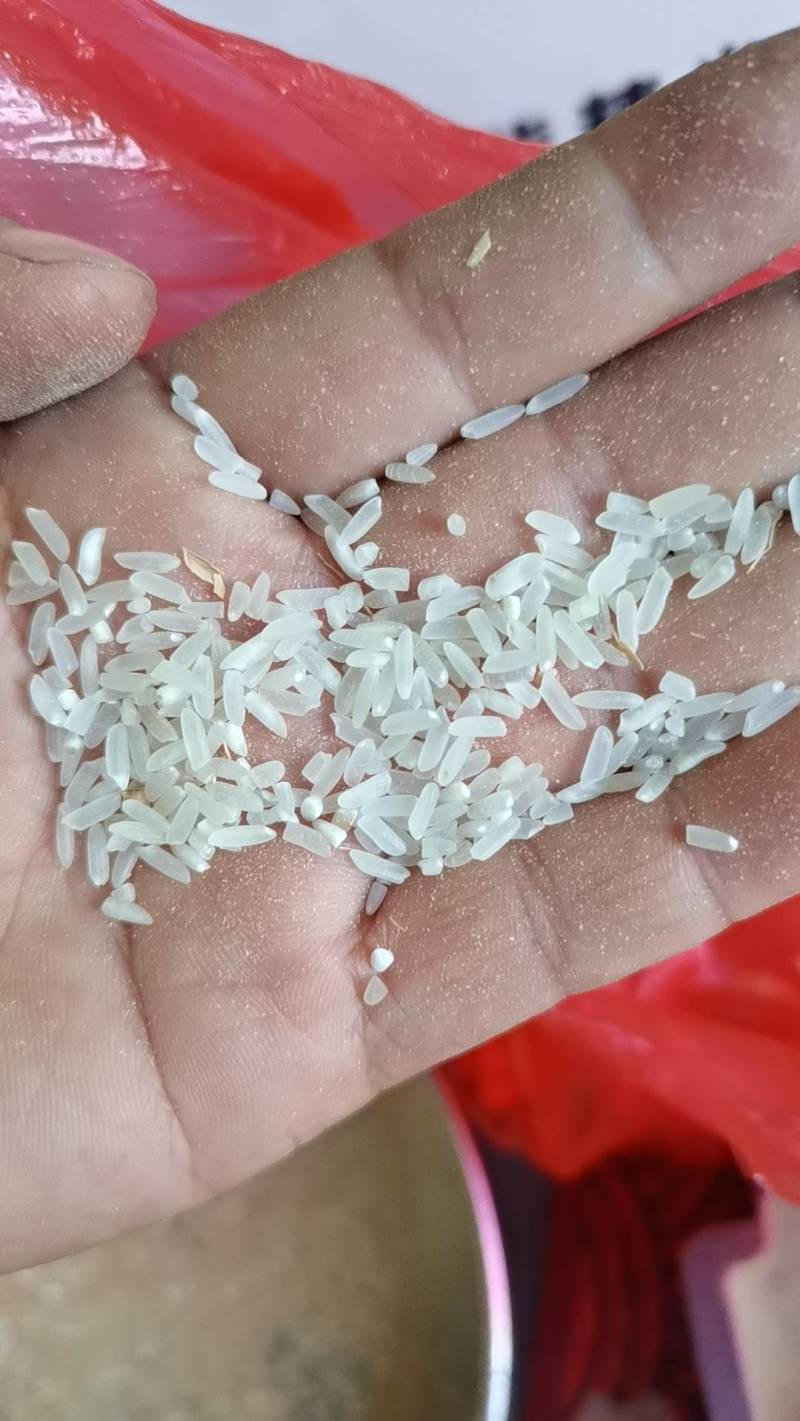 优质稻天龙一号新谷