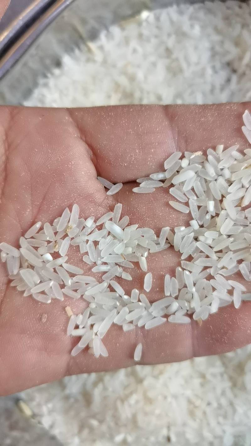优质稻天龙一号新谷