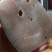 湘西正宗纯手工魔芋豆腐