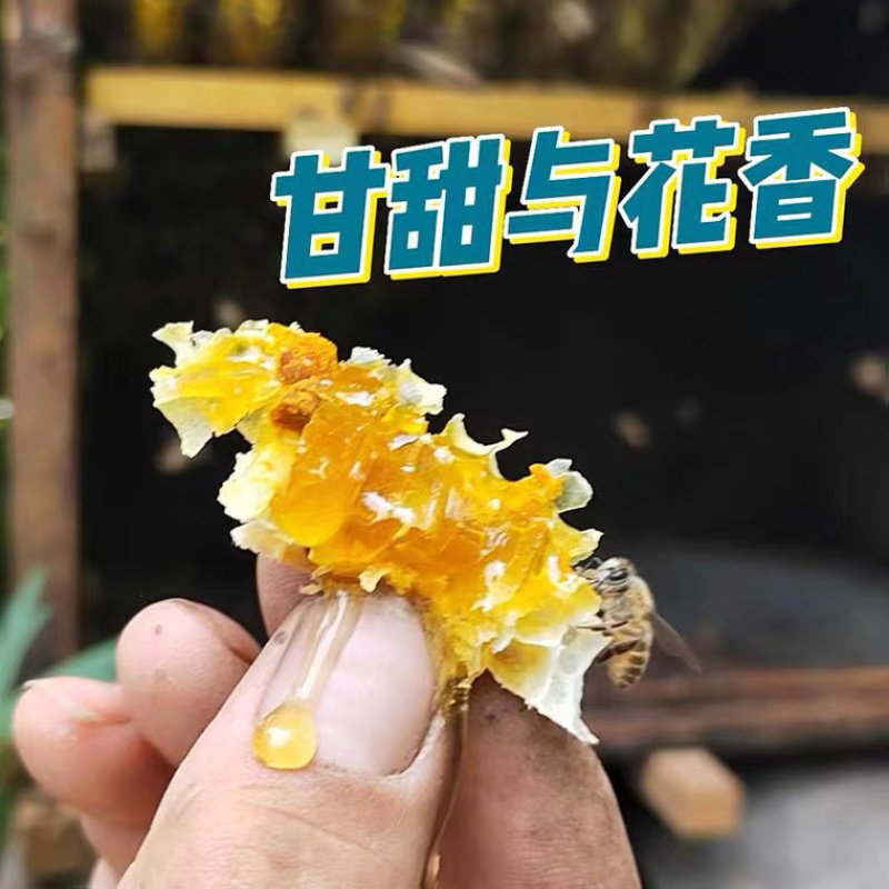 精品土蜂蜜野生土蜂蜜，一件代发批发商超包邮欢迎致电