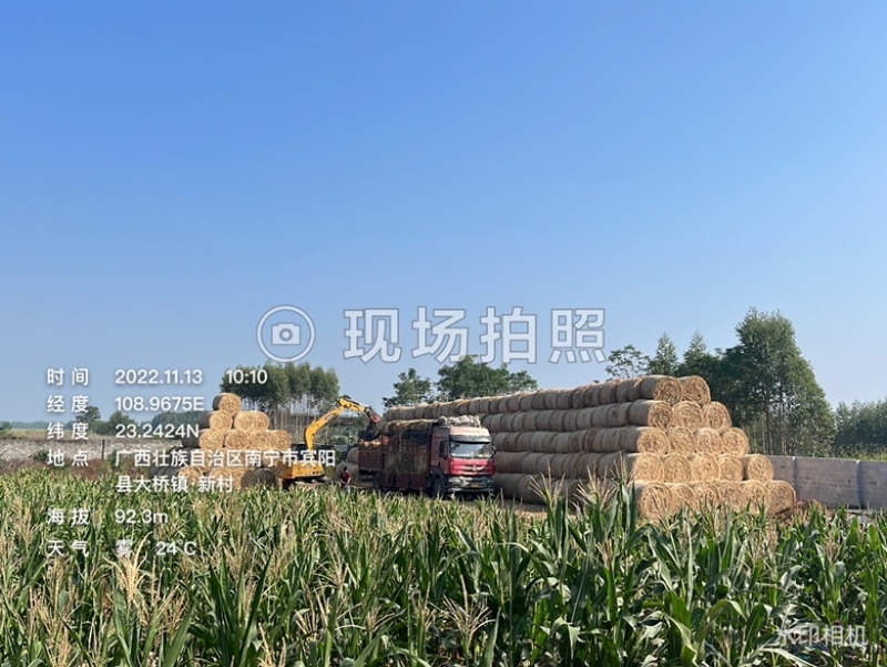 广西小方包稻草