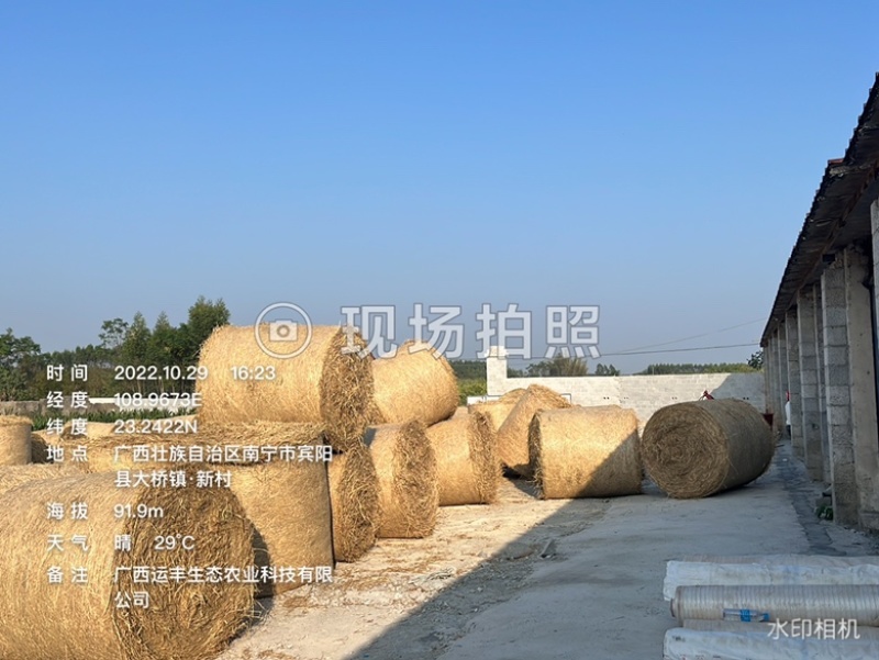 广西小方包稻草