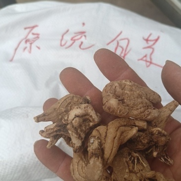 白芨干货