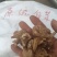 白芨干货