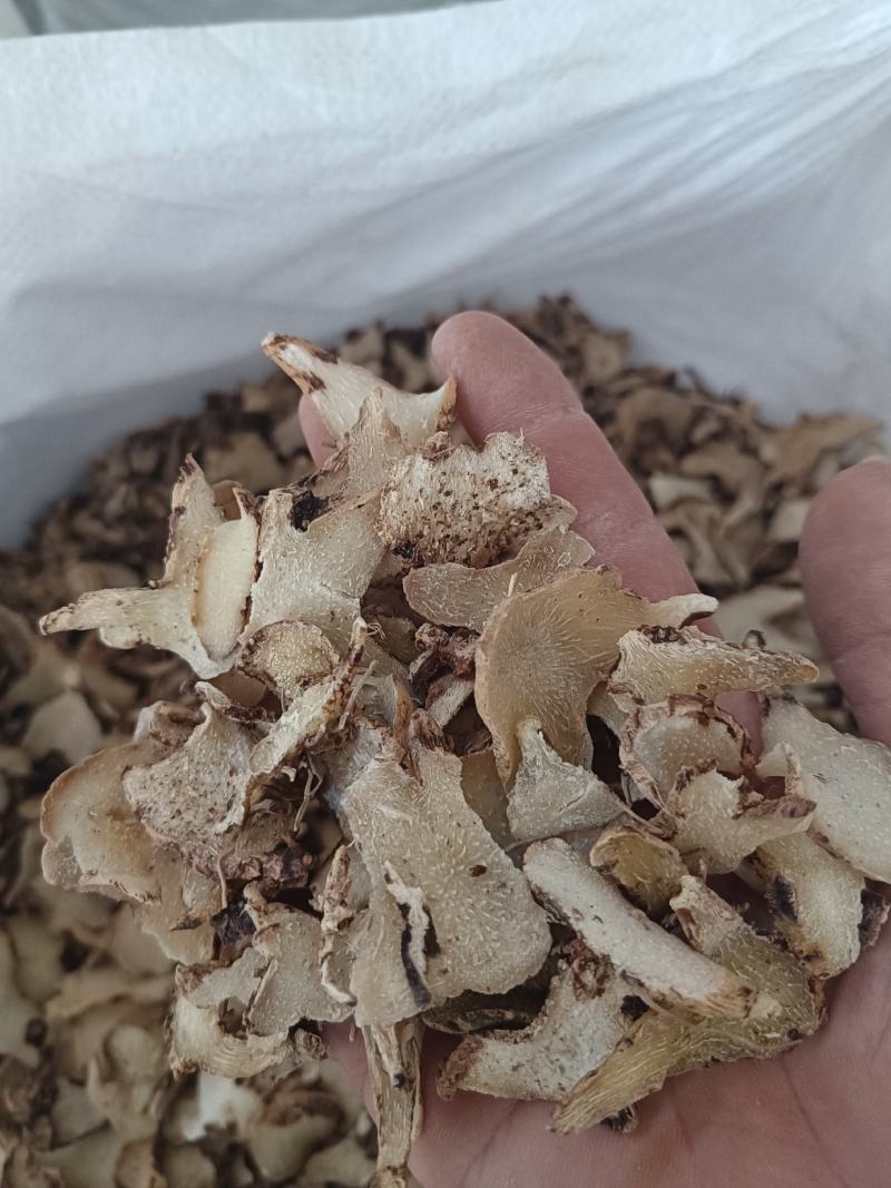 白芨干货
