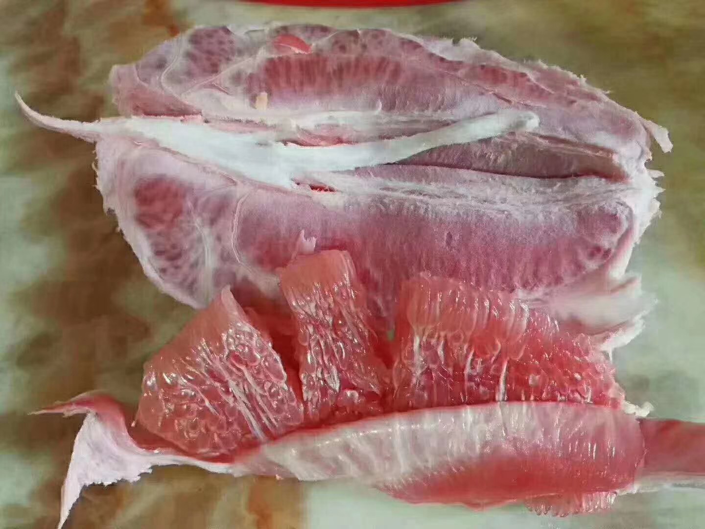 柚子特写展示