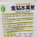 国外引进优良黄皮圆葱水果洋葱种子金钻水果葱种子甜脆微辣