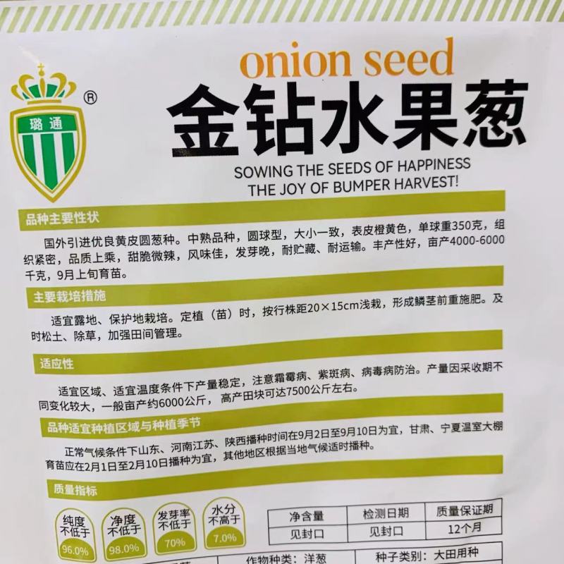国外引进优良黄皮圆葱水果洋葱种子金钻水果葱种子甜脆微辣
