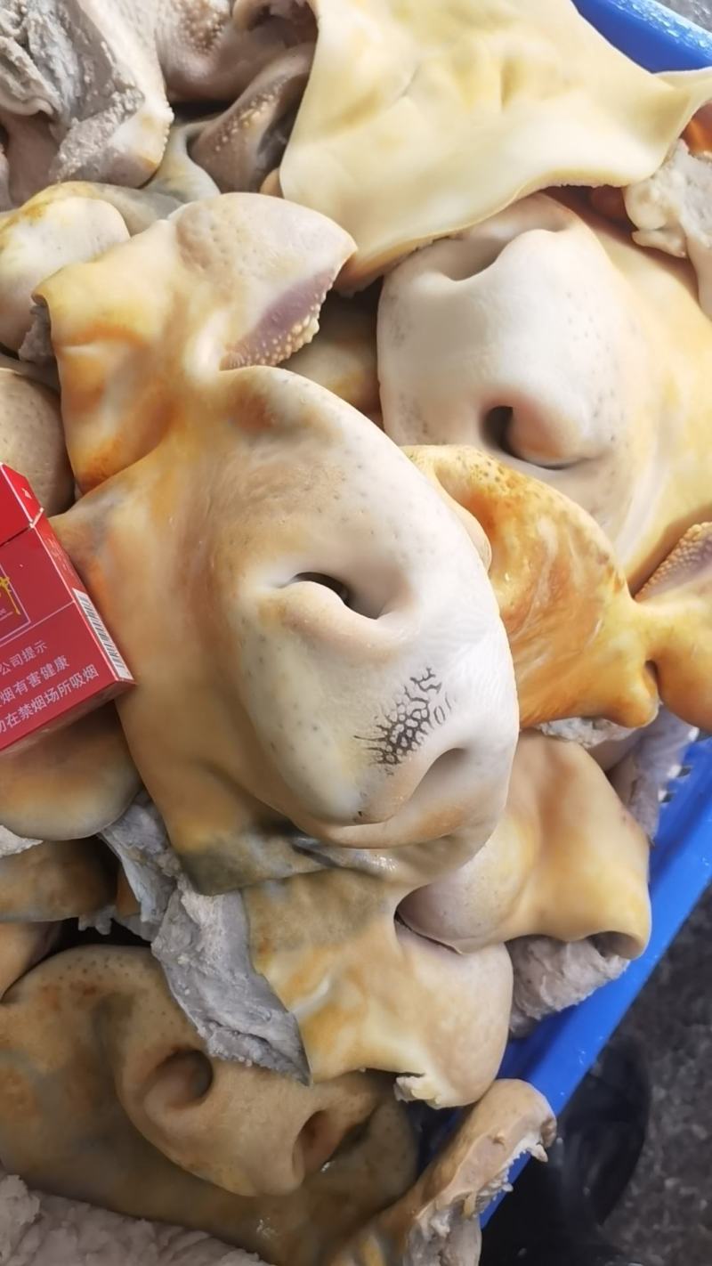 新鲜牛脚皮