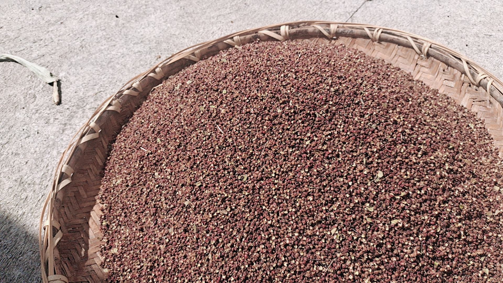 清洗后的尖椒整齐摆放在竹筛中自然晾干 清洗晾晒尖椒