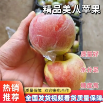 【实力】河北乐亭精品苹果美八苹果产地直发实力代办