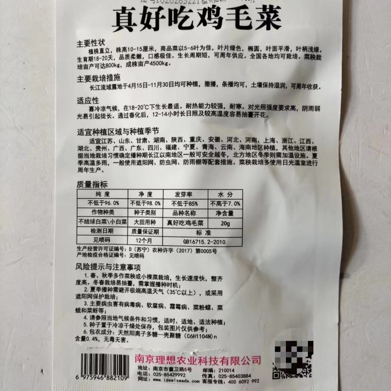 鸡毛菜种子