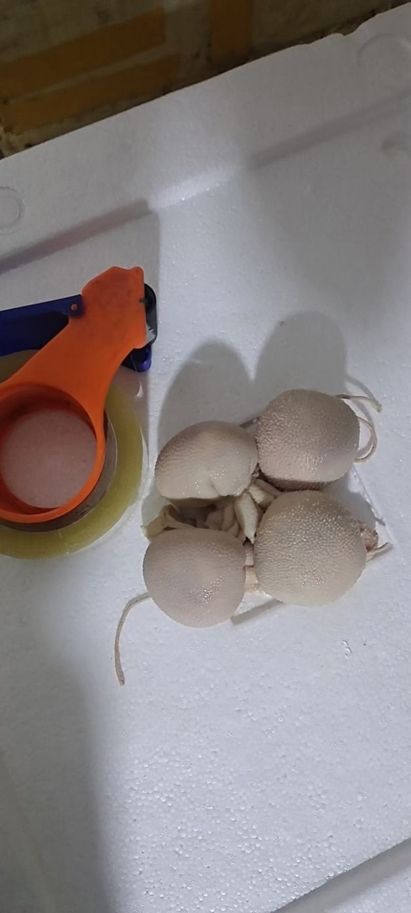 一手货源长期加工风味羊肚包羊肉肚包牛肉里面肉都是腌