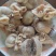 一手货源长期加工风味羊肚包羊肉肚包牛肉里面肉都是腌