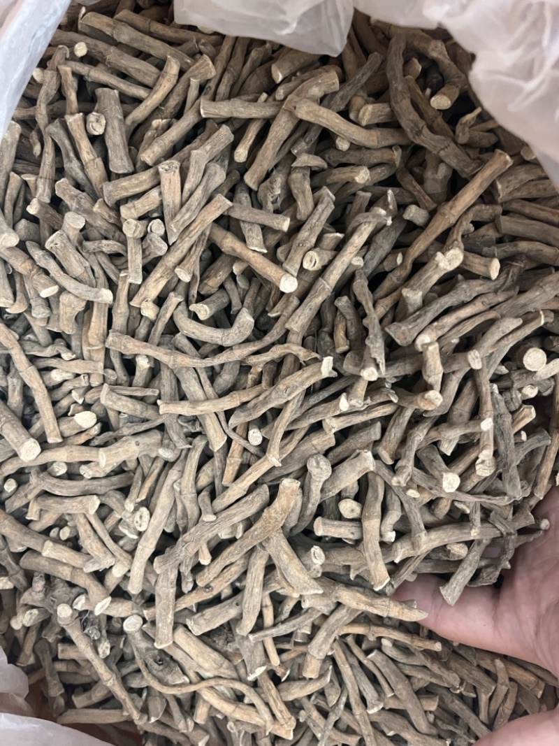 三白草一公斤起发