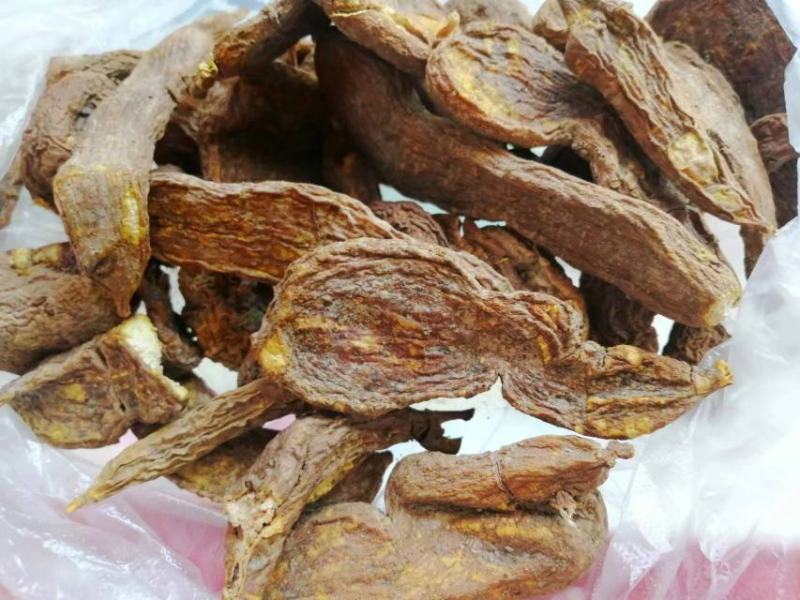 恩施大山深处原生态无硫富硒中药材地苦胆