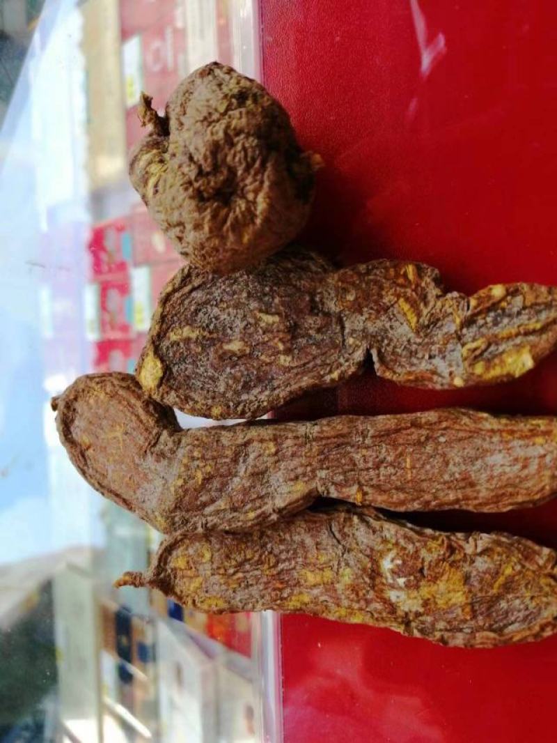 恩施大山深处原生态无硫富硒中药材地苦胆