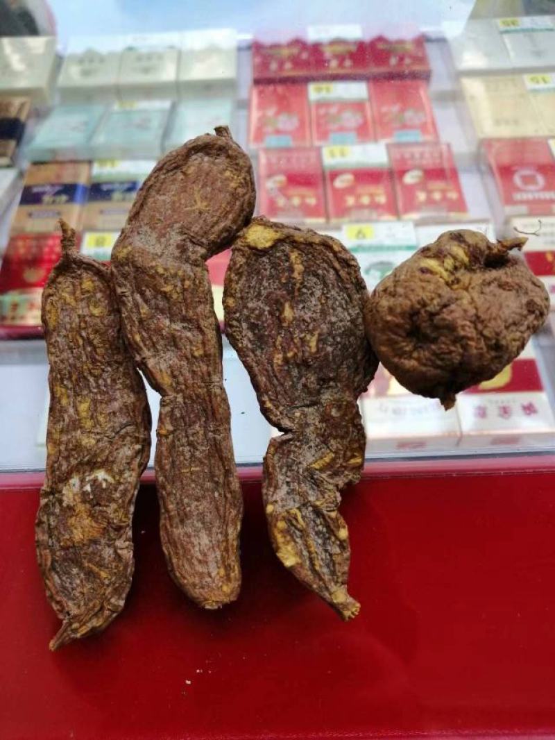 恩施大山深处原生态无硫富硒中药材地苦胆
