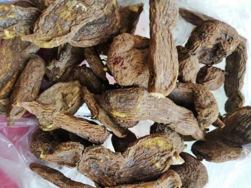 恩施大山深处原生态无硫富硒中药材地苦胆
