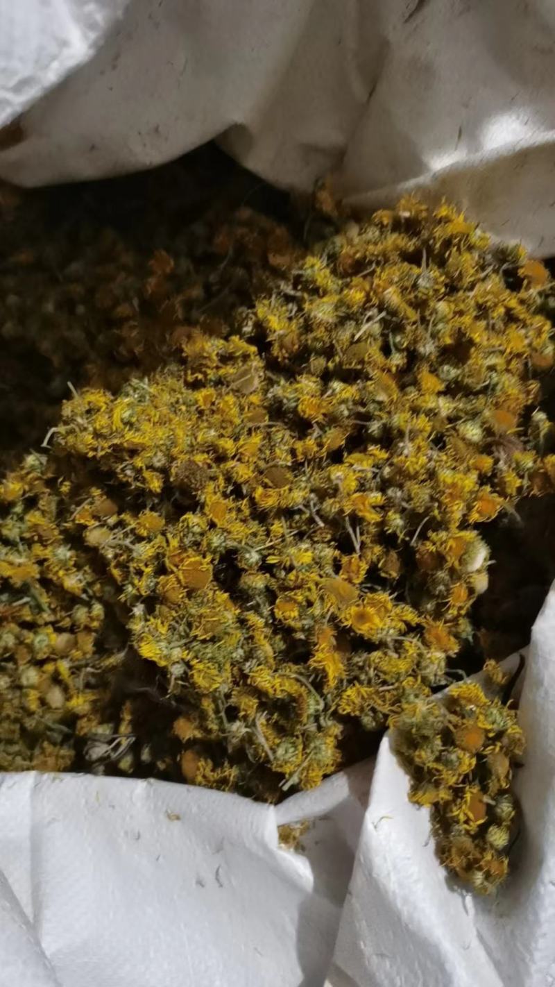 旋覆花干货