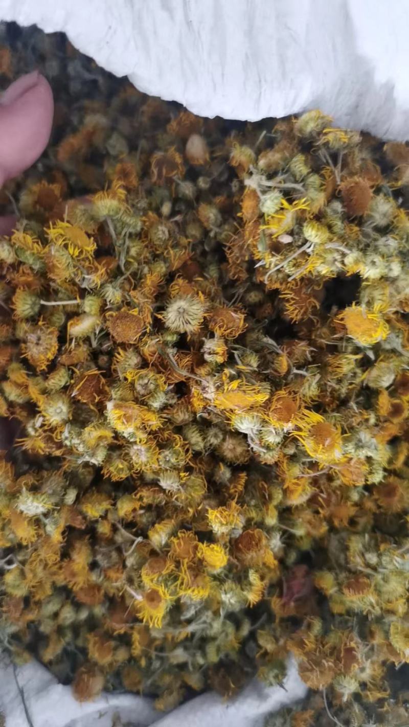 旋覆花干货