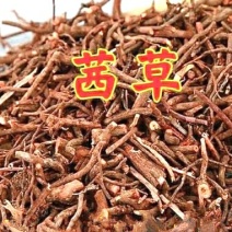 茜草道地中药材茜草血见愁止破血草当季节新货包邮