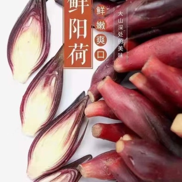 自家种植洋荷