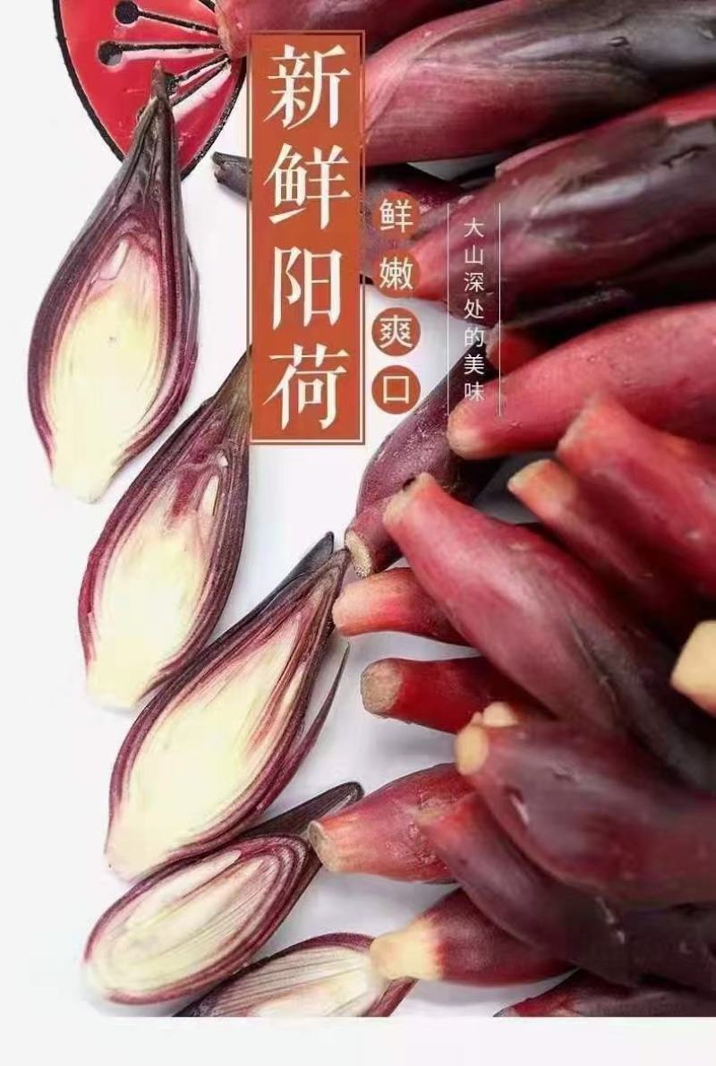 自家种植洋荷