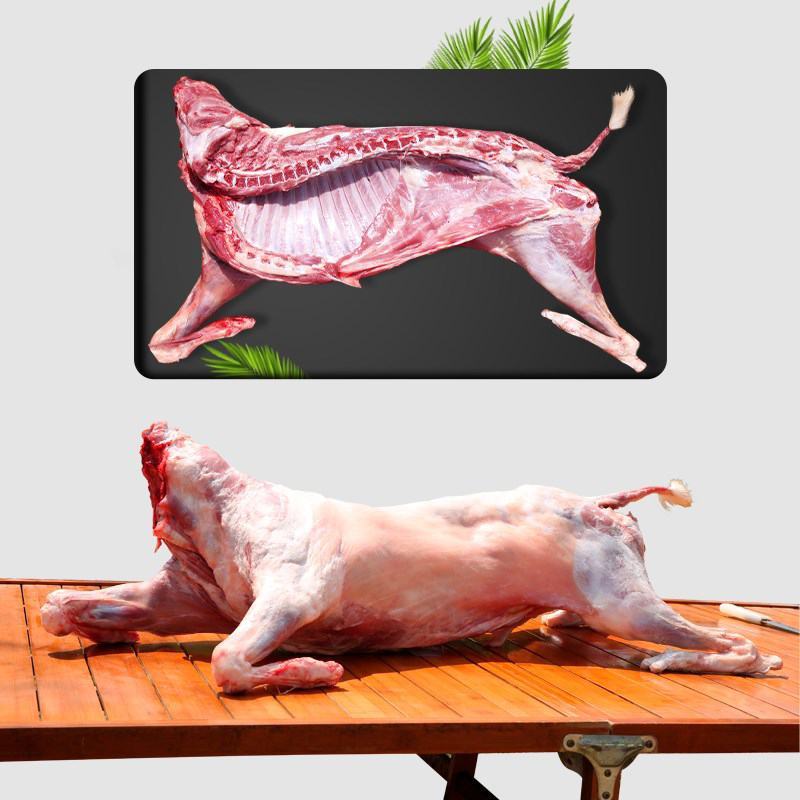 羊肉羊酮体白条羊每天屠宰纯干无水