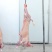 羊肉羊酮体白条羊每天屠宰纯干无水
