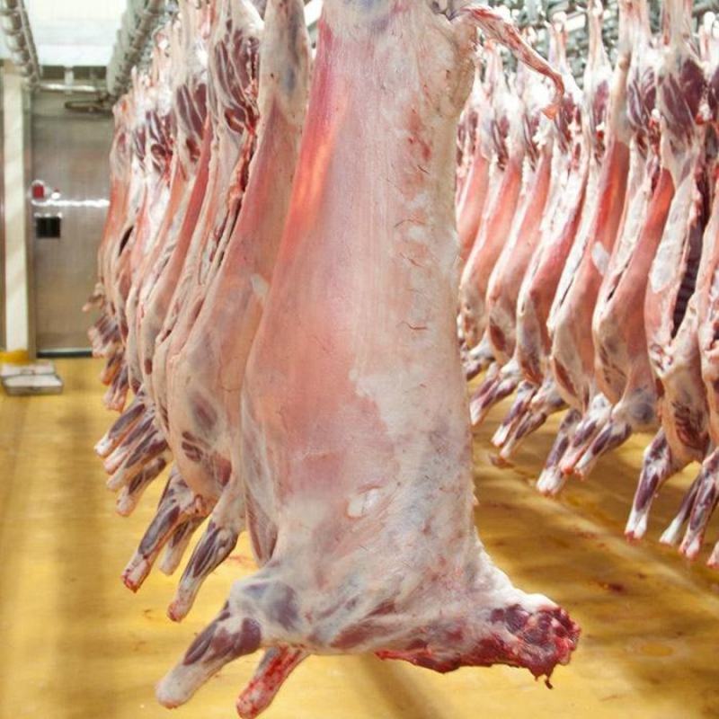 羊肉羊酮体白条羊每天屠宰纯干无水