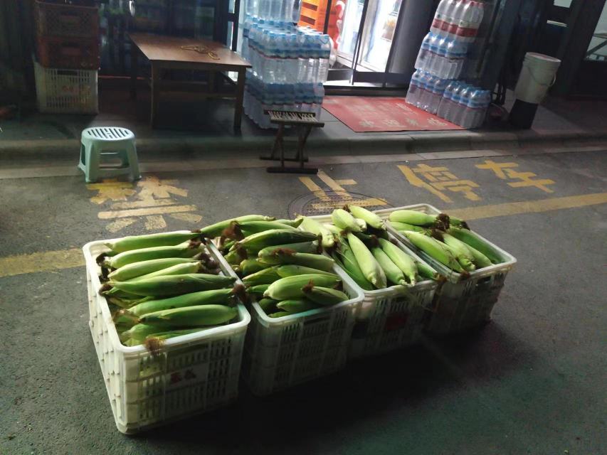 一个现代超市的生鲜区域,水果玉米整齐摆放在货架上,旁边标注着‘水果玉米’字样的促销标签,背景是各类新鲜蔬果 水果玉米在超市货架上的陈列场景