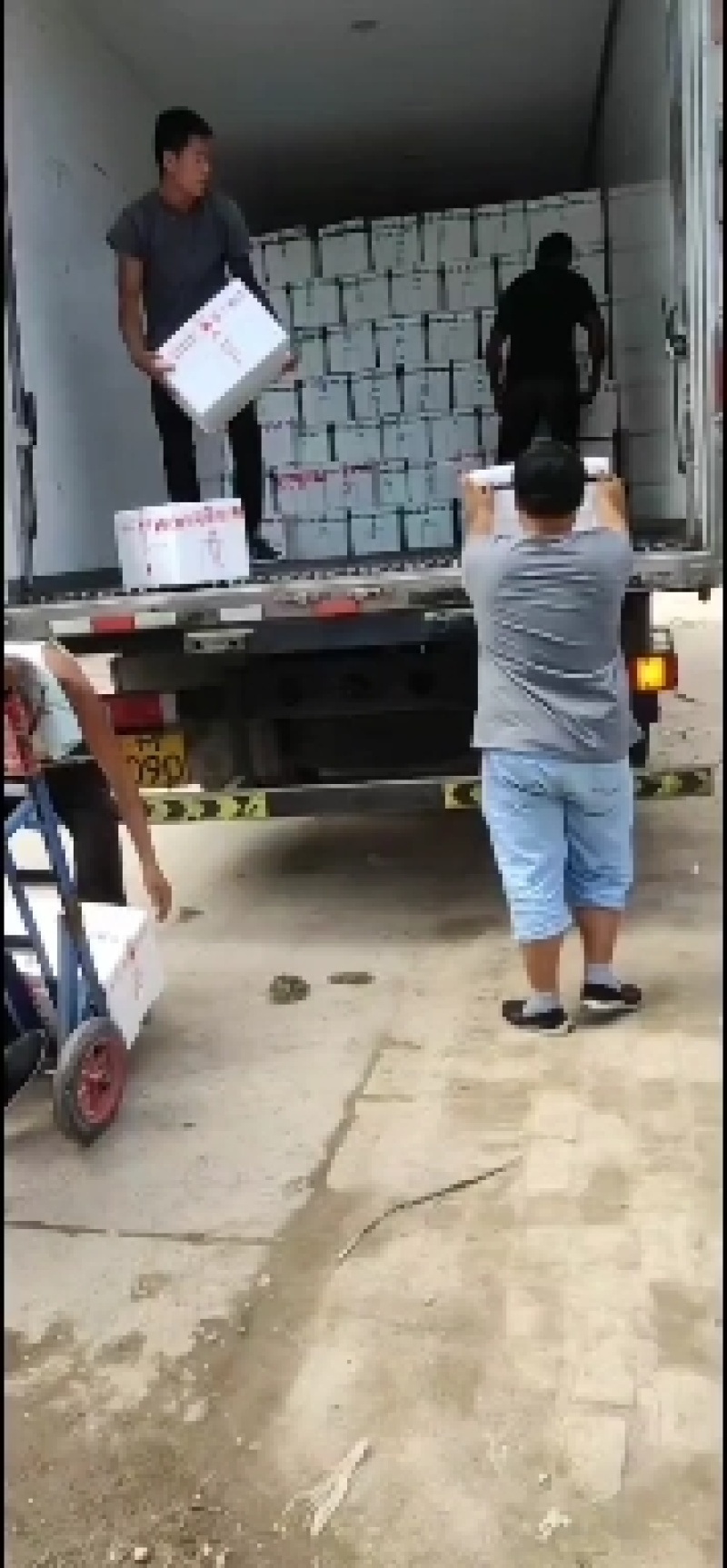 黄瓜，青瓜，万亩主产地，批发市场，工厂，商超海量供应