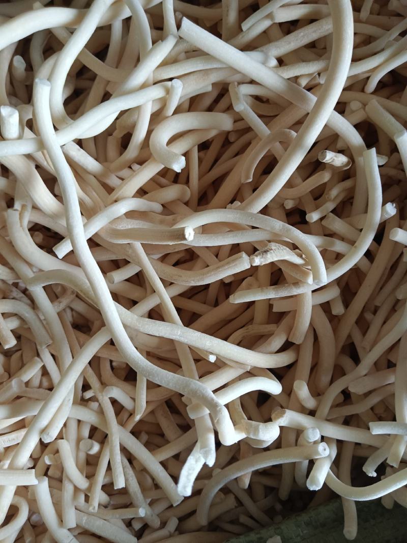 通草，产地一手货源，无硫，实拍现货，24小时内发货