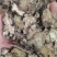 原色川芎片正品药材无硫川弓可磨粉川穹粉配调煲汤原料传统