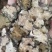 原色川芎片正品药材无硫川弓可磨粉川穹粉配调煲汤原料传统