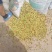 酸枣
